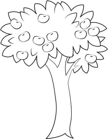 Apple Tree Coloring Page